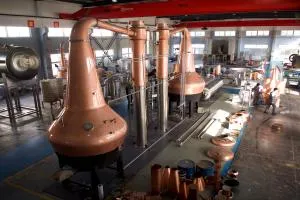 7 نوع مختلف ویسکی که باید درباره آنها بدانید